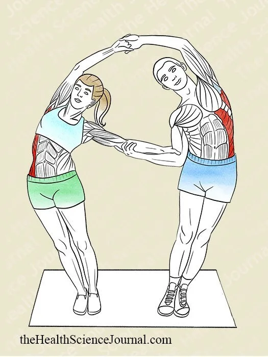 Lateral Bends With a Partner