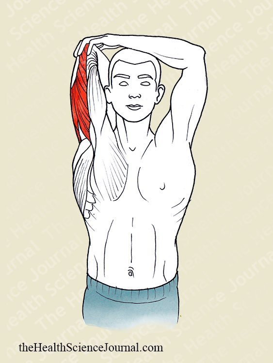 Overhead Arm Hyperextension - Stretching