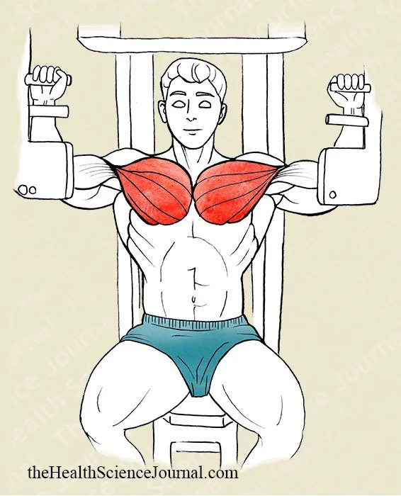 Passive Extension With a Contraction Machine - Stretching