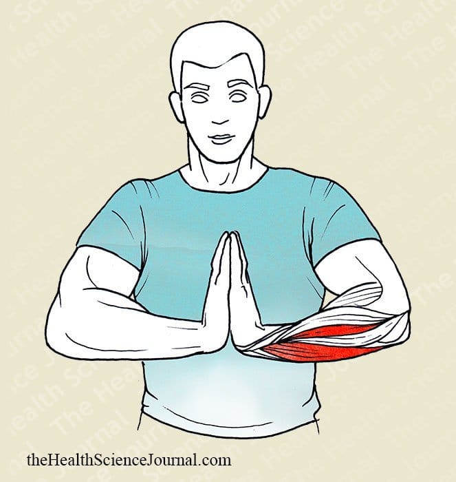 Prayer Hand Extension - Stretching