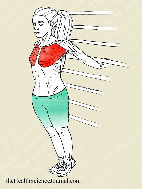 Traction With Back to Bar Chest Stretching - Stretching