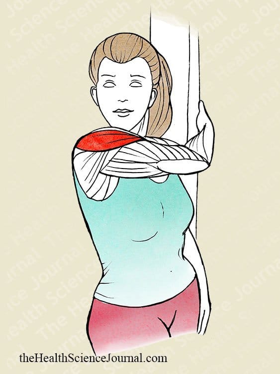 Upright Torso Rotation Shoulder Stretch