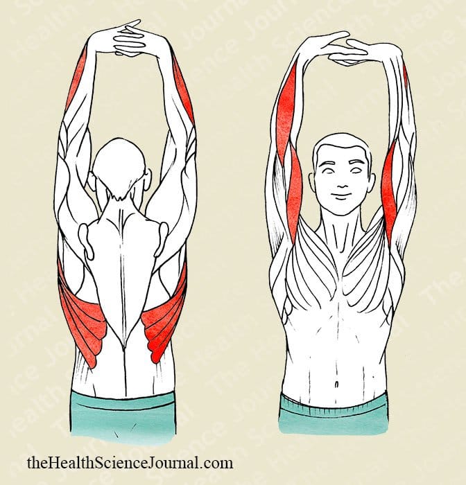 Vertical Arms Extension - Stretching