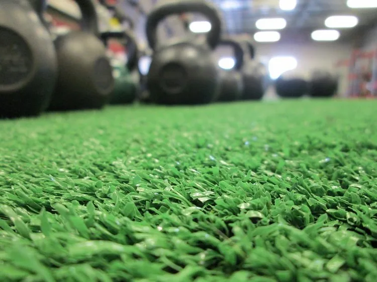gym-grass-weights