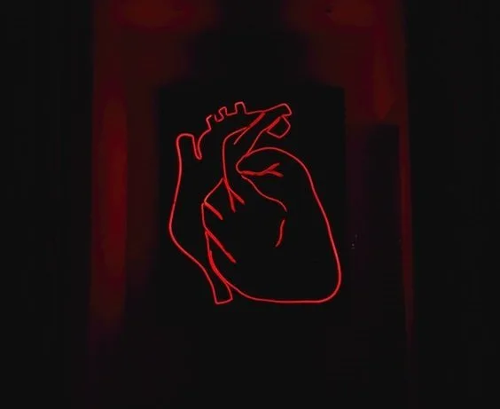 unsplash drawing human heart neon