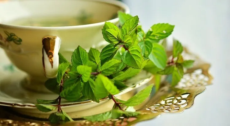 Peppermint-tea