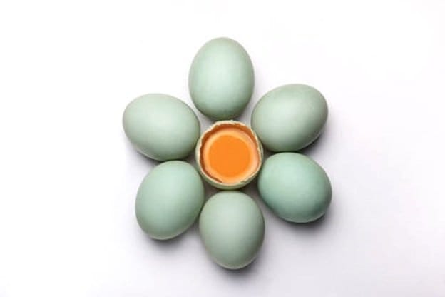 Egg white