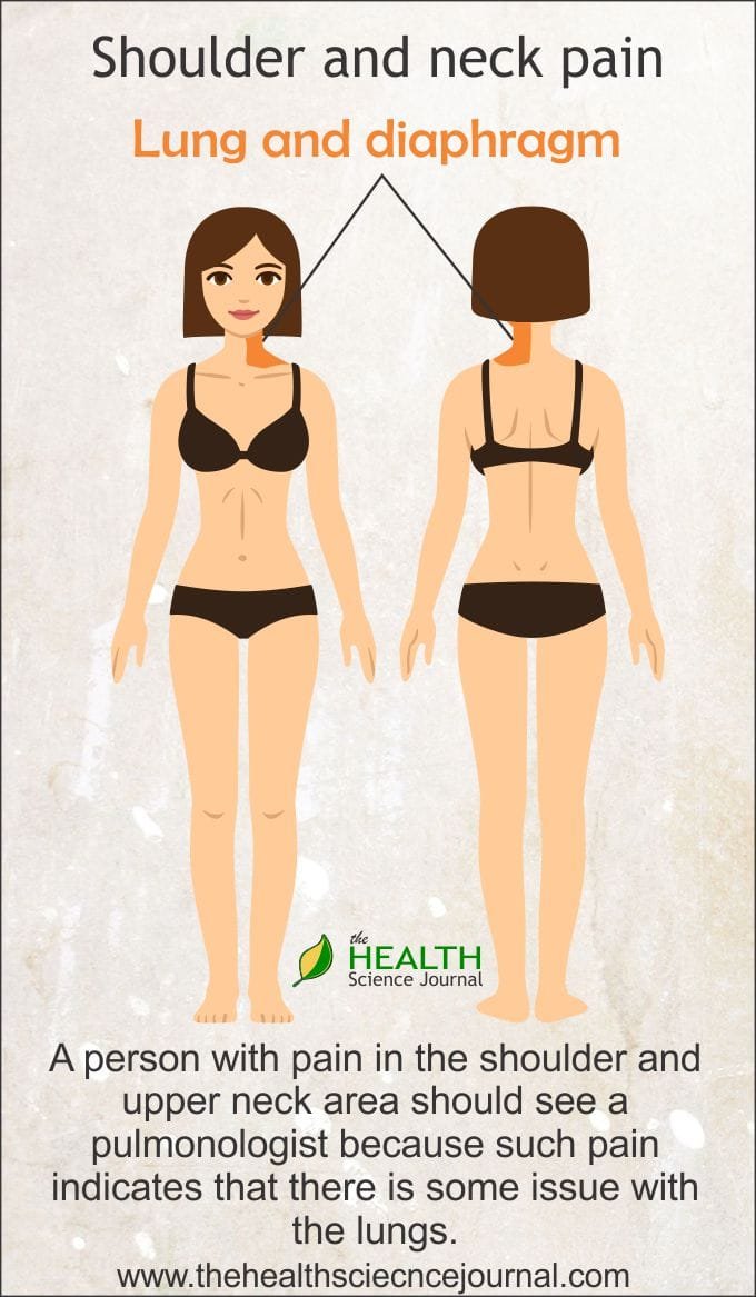 Shoulder and neck pain Lung and diaphragm