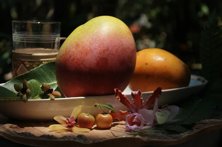 tropical fruit mango