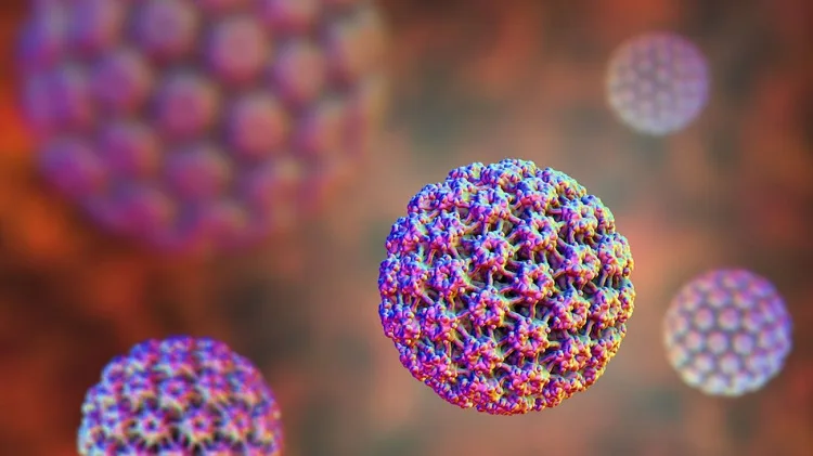 virus bacteria