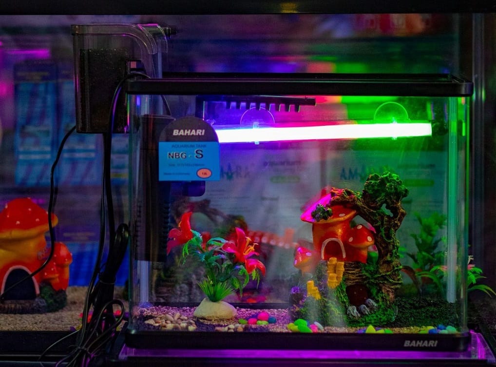 fish tank light