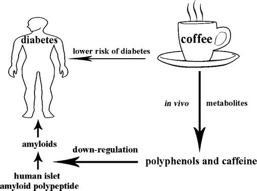 coffee-diabetes