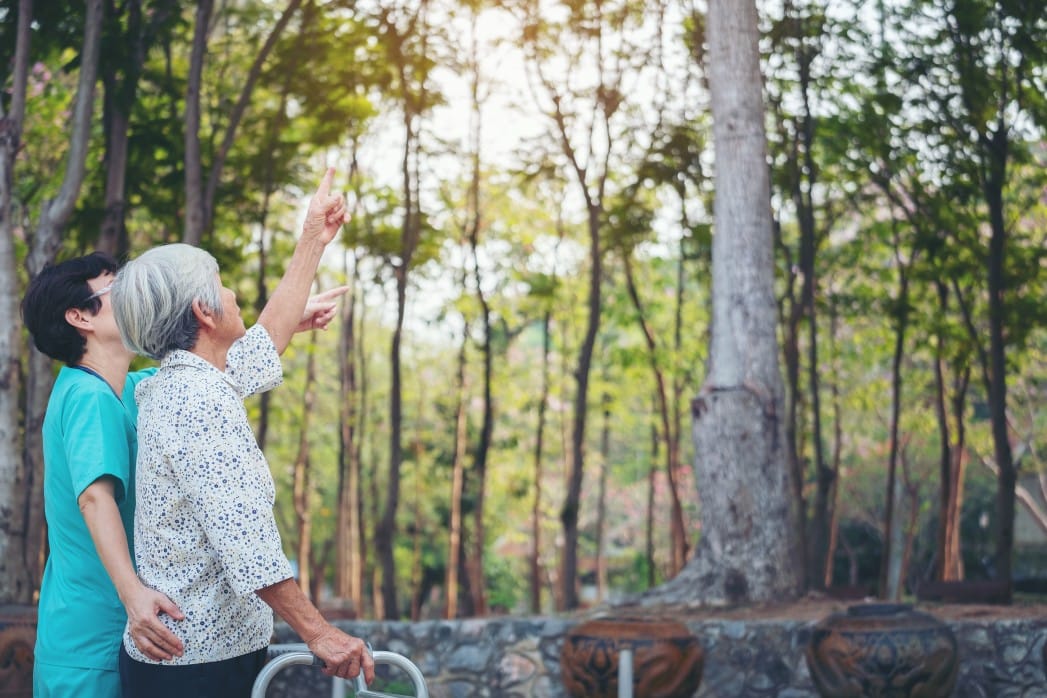 smiling-caregiver-senior-nurse-take-care-a-senior-patient-in-walker-for-relaxing-and-looking-around