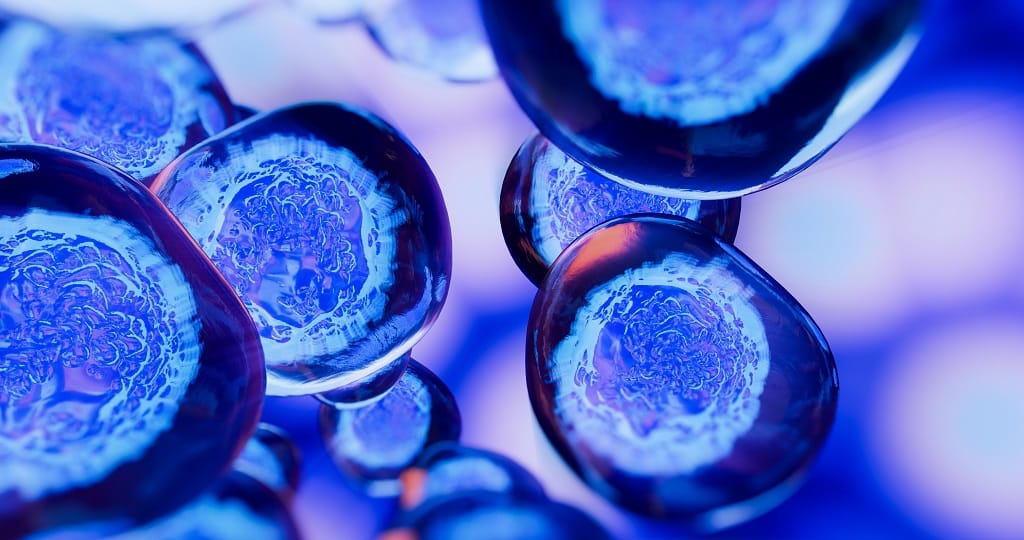 cellular therapy