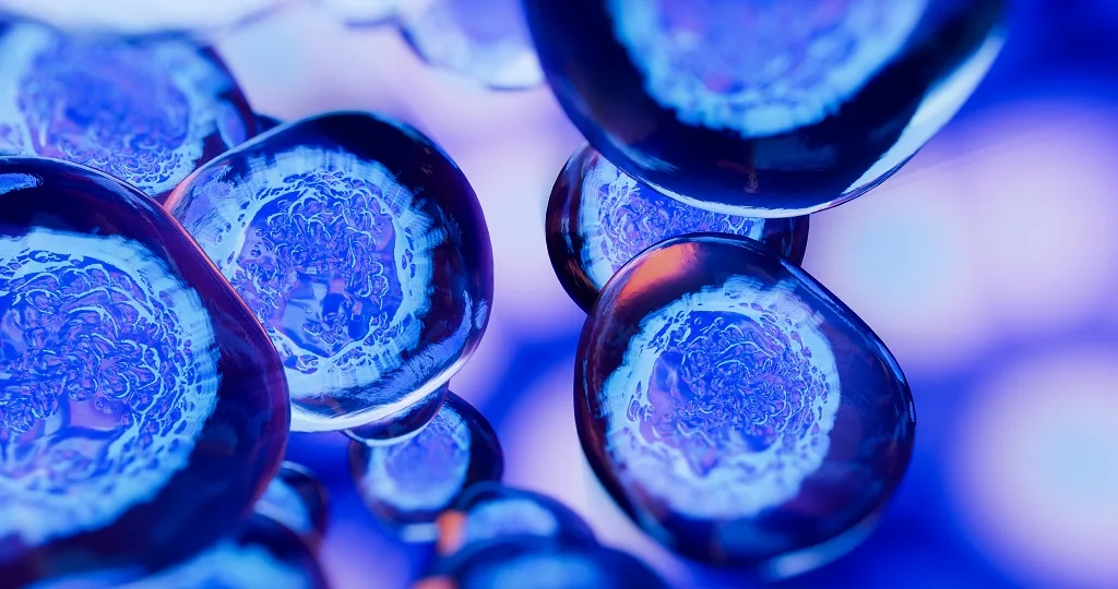 cellular therapy