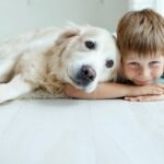 emotional support animals (ESA) dog