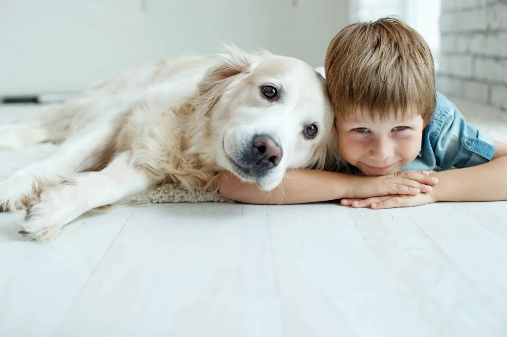 emotional support animals (ESA) dog