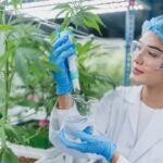 scientist-working-for-alternative-plant-medicals-r