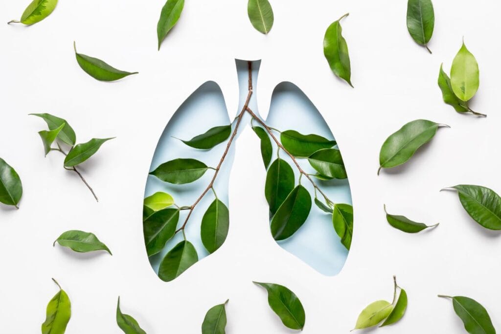 blue-hole-lungs-and-green-twigs-as-symbol-of-healt