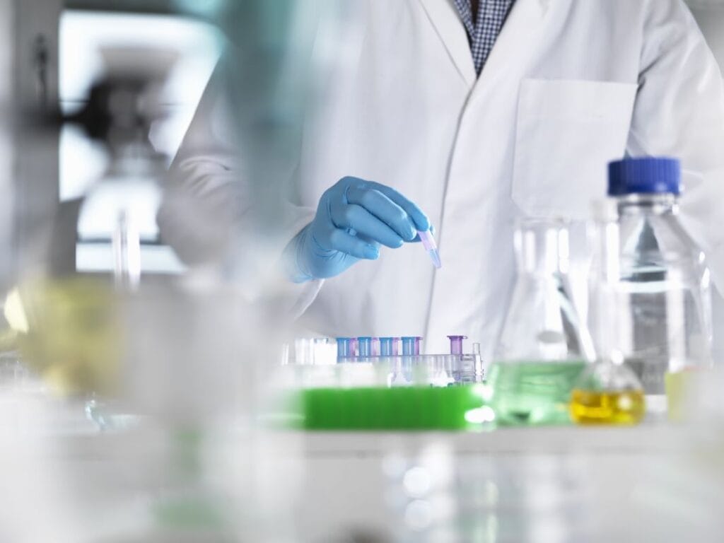 polymerase chain reaction (PCR)